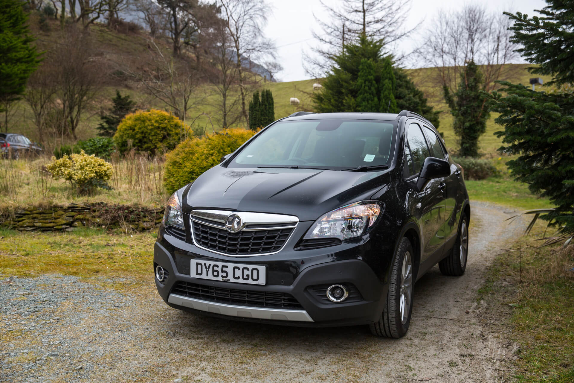 Vauxhall Servicing With Town Garage - Town Garage
