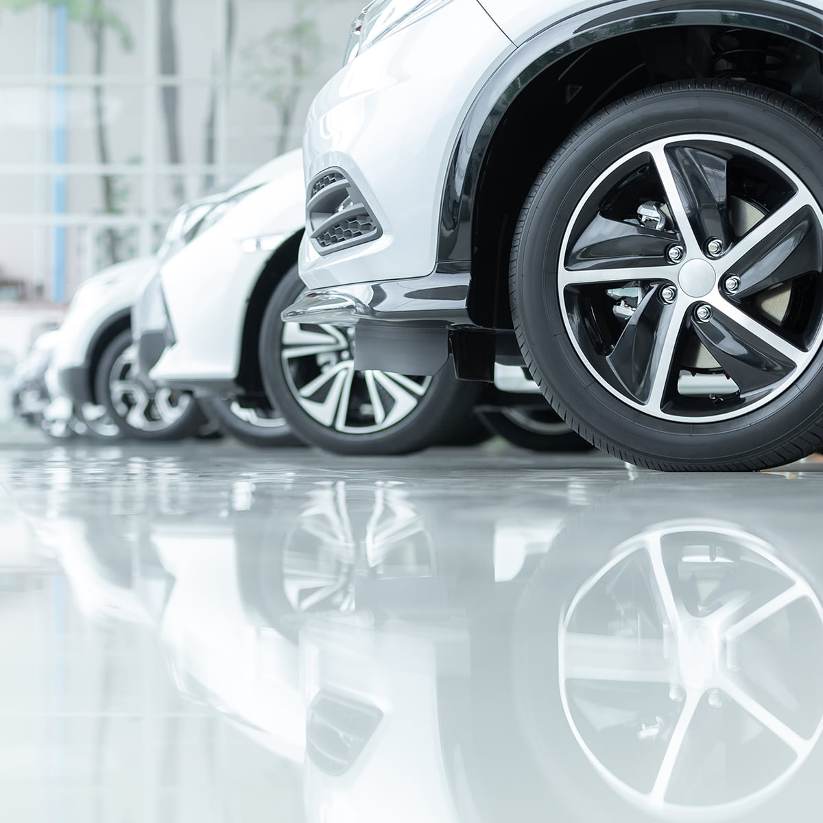 Cash4cars Customer Care Package Body Image 3 (1) - cash4cars Showroom