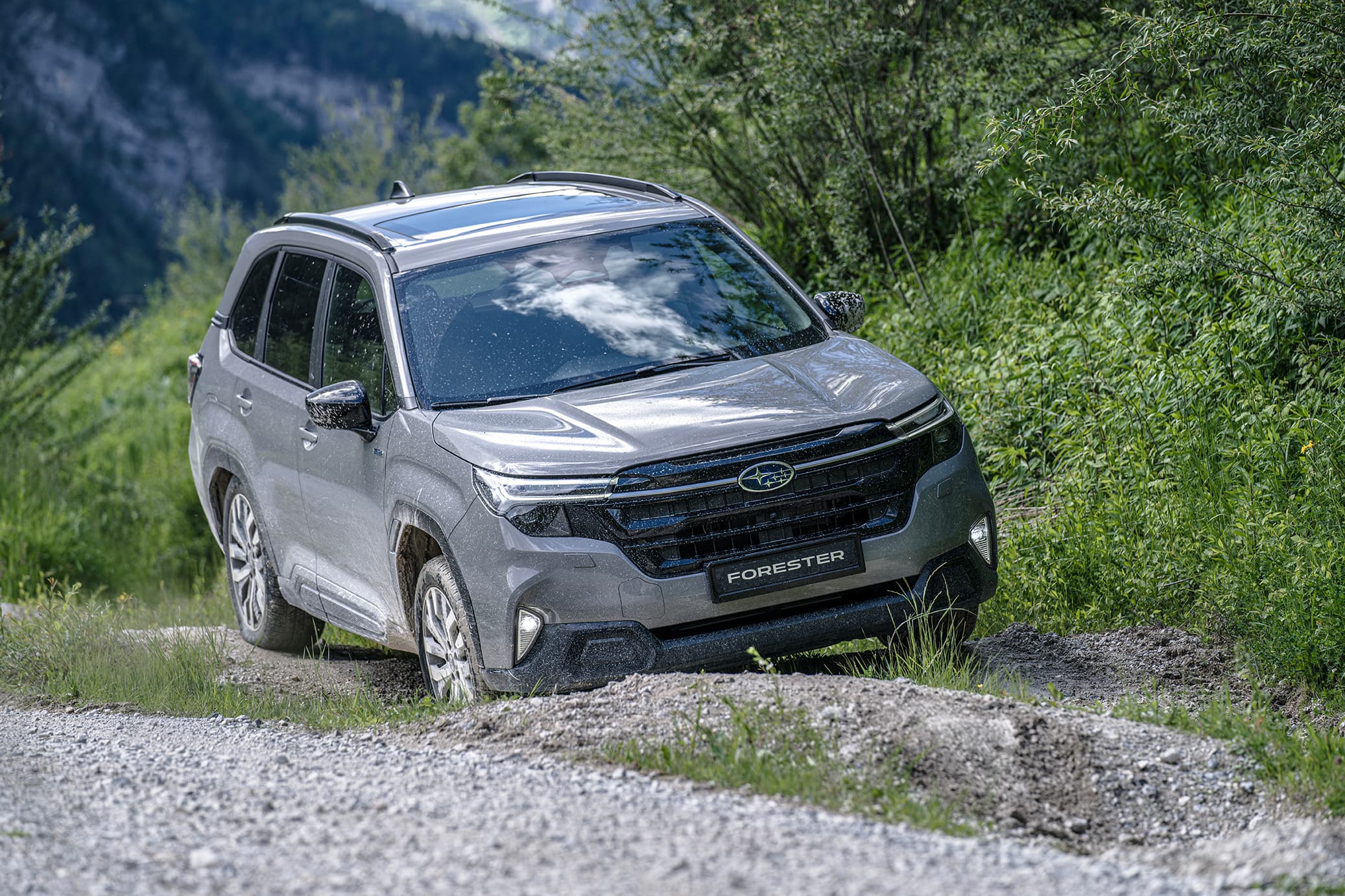 Forester 2 - A.F. Noble & Son