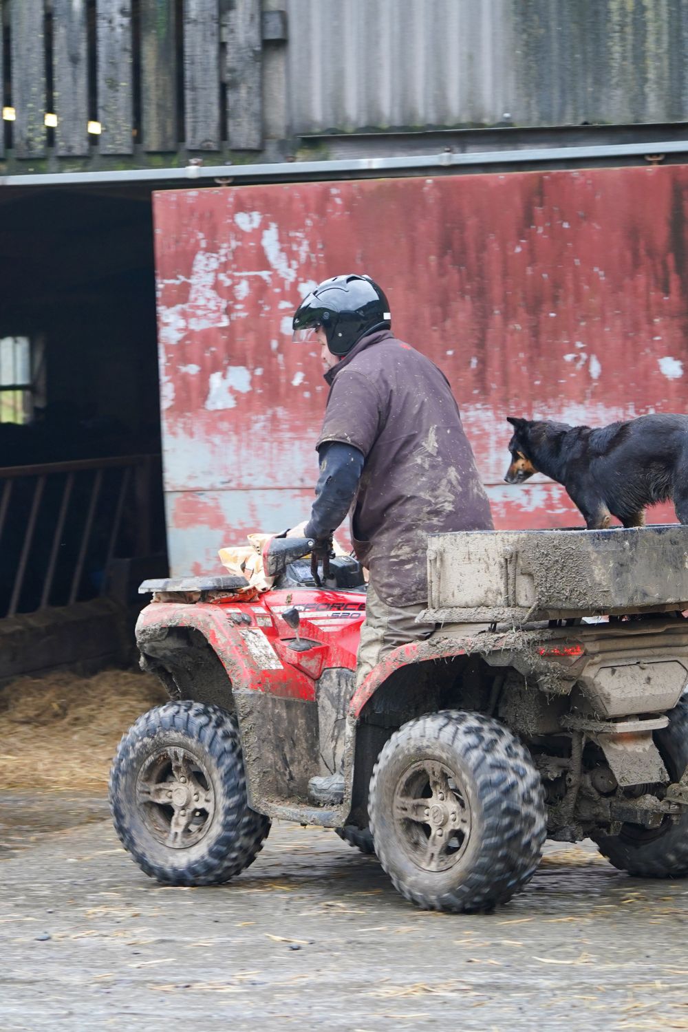 Untitled Design (20) - Iron & Earth Equipment Ltd