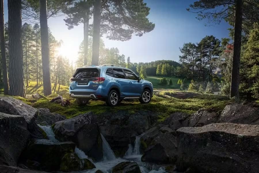 Simpsons Motab Image - Eaglesham Garage Limited