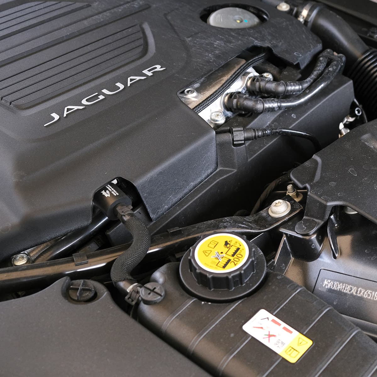 Jaguar Body Image (1) - Superior Auto Hub