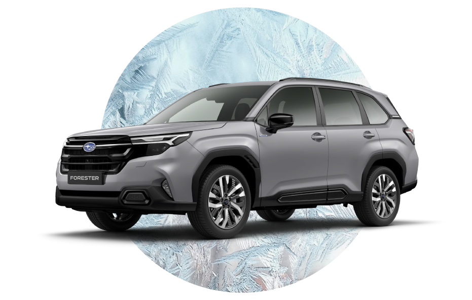 Q4 Campaign Servicing Offer Website Page11 - Geoff Cox