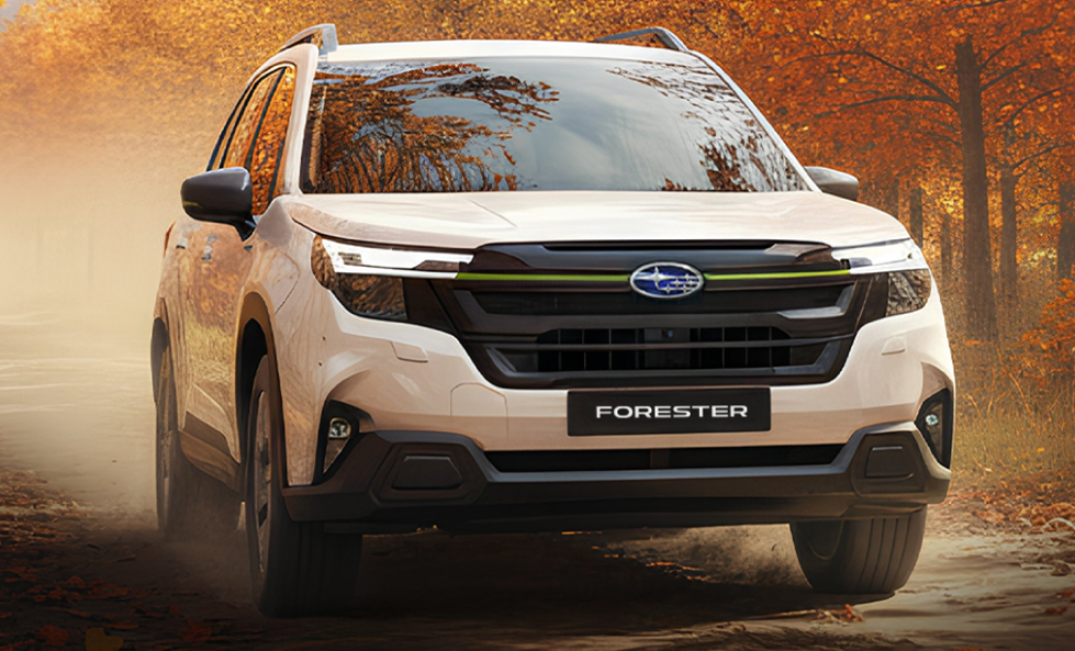 Book a Winter Health Check