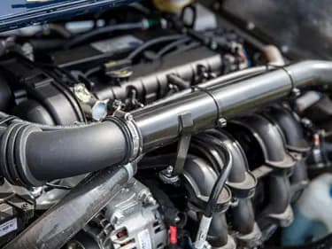 Winter Morgan<br>Health Check