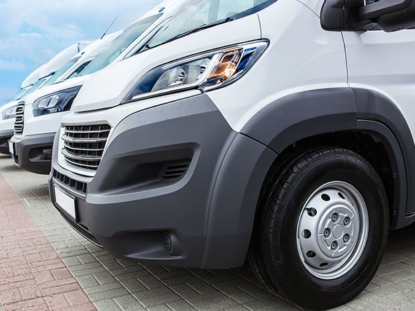 View Our Current Stock