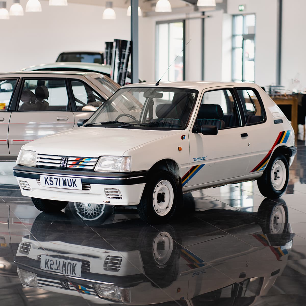 Rubber Duck Shields Body 10 (1) - Rubber Duck Cars LTD