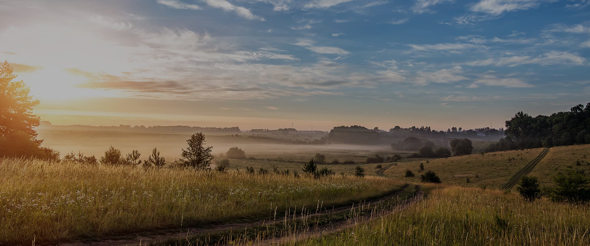 Tmc Content Page Hero 6 (1) - Tottington Motor Company