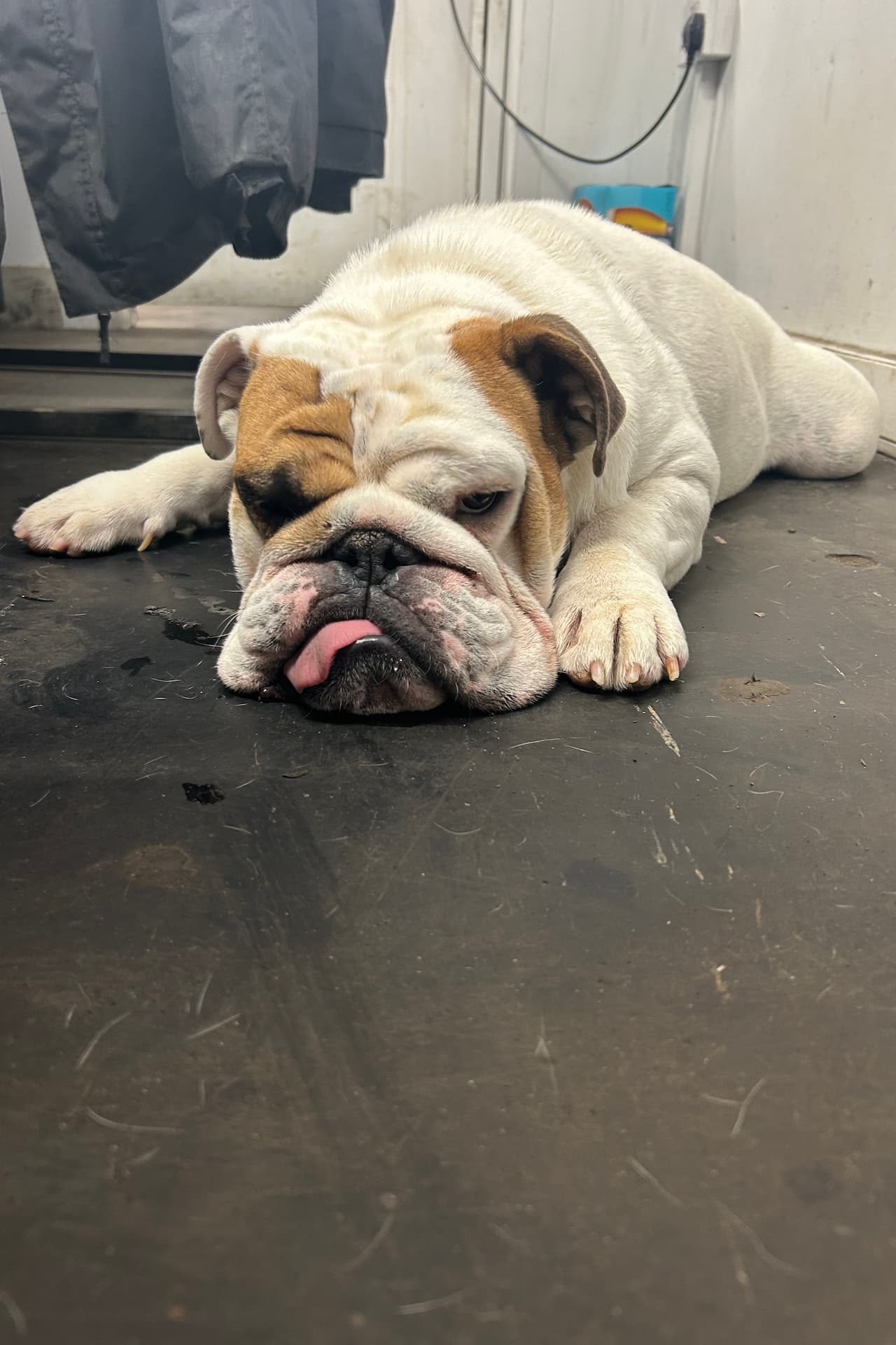 Meet The Team Stan - Horton Cars