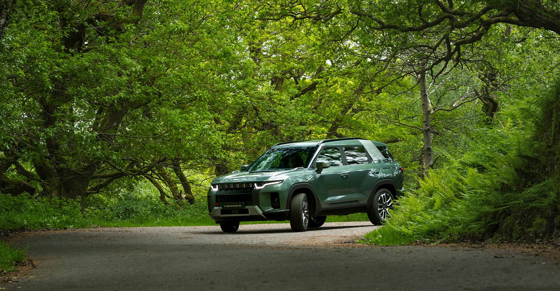 Torres Model Page Hero 3 (1) - Lamb and Gardiner Ltd