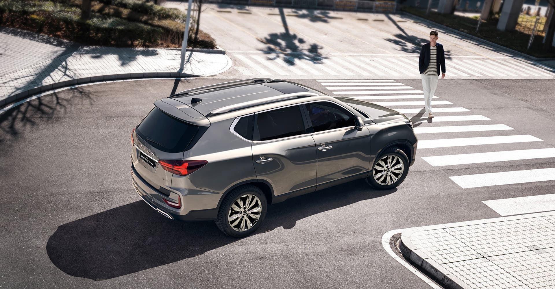 Rexton Commercial Model Page Hero 3 (1) - Lamb and Gardiner Ltd