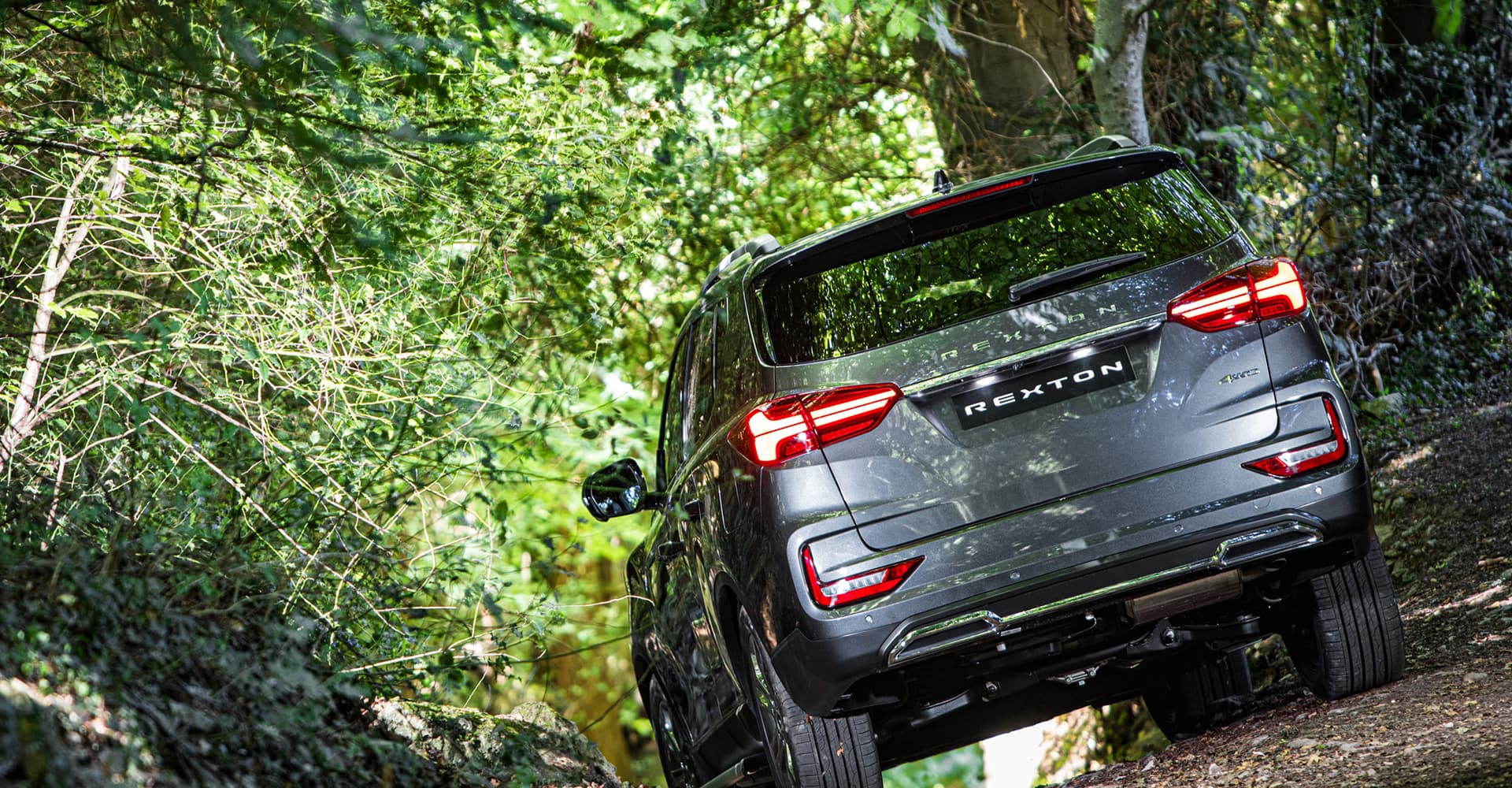 Rexton Commercial Model Page Hero 5 (1) - Lamb and Gardiner Ltd