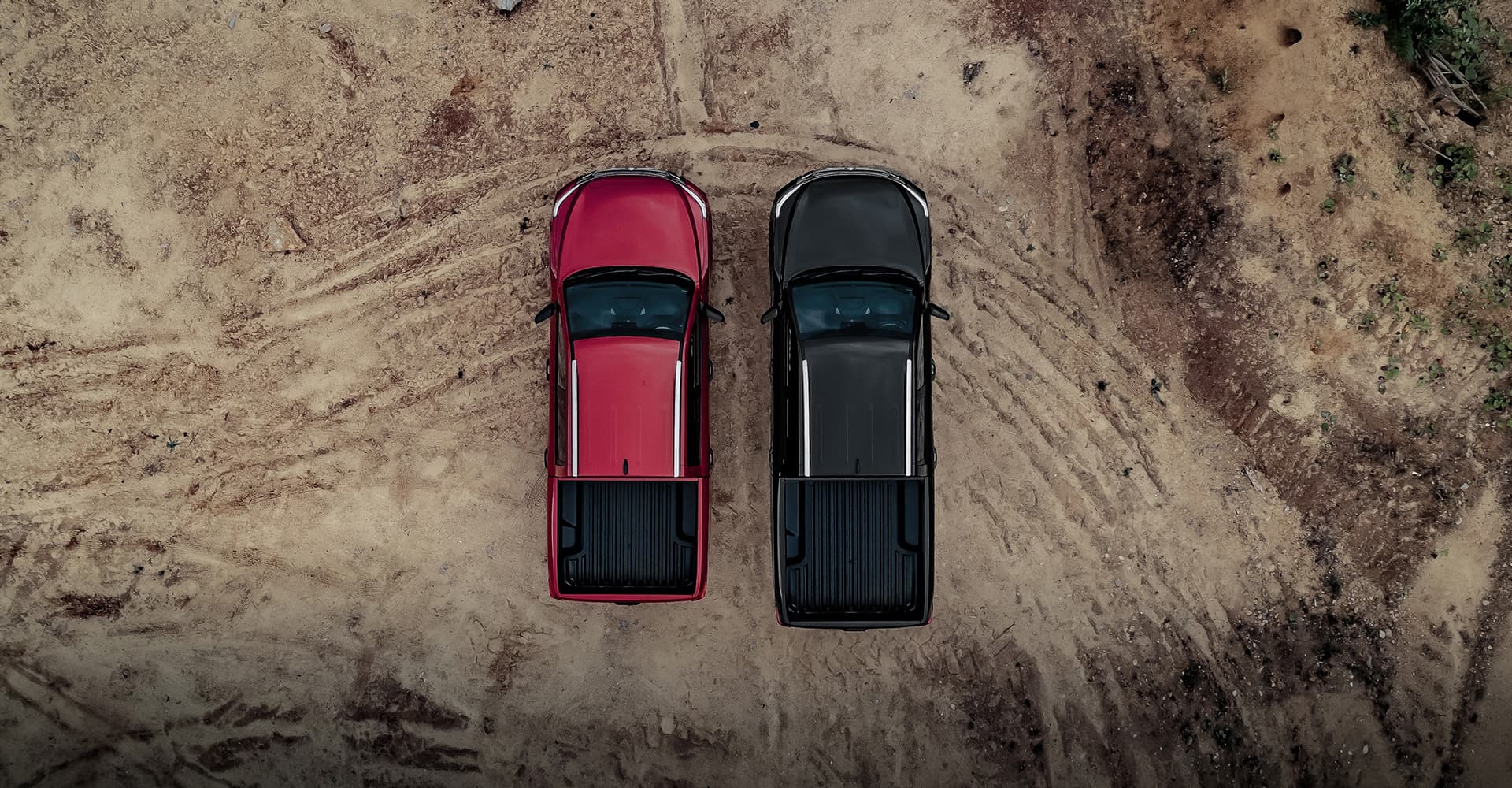 Musso Model Page Hero 5 (1) - Lamb and Gardiner Ltd