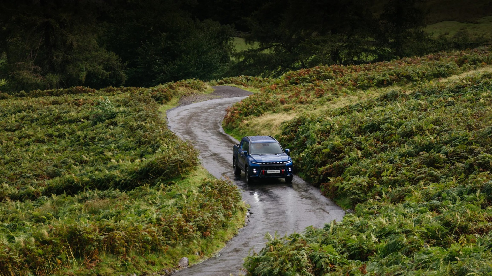 21651 Musso Ev Website 16x9 Full Width Image 5 Rt - Lamb and Gardiner Ltd