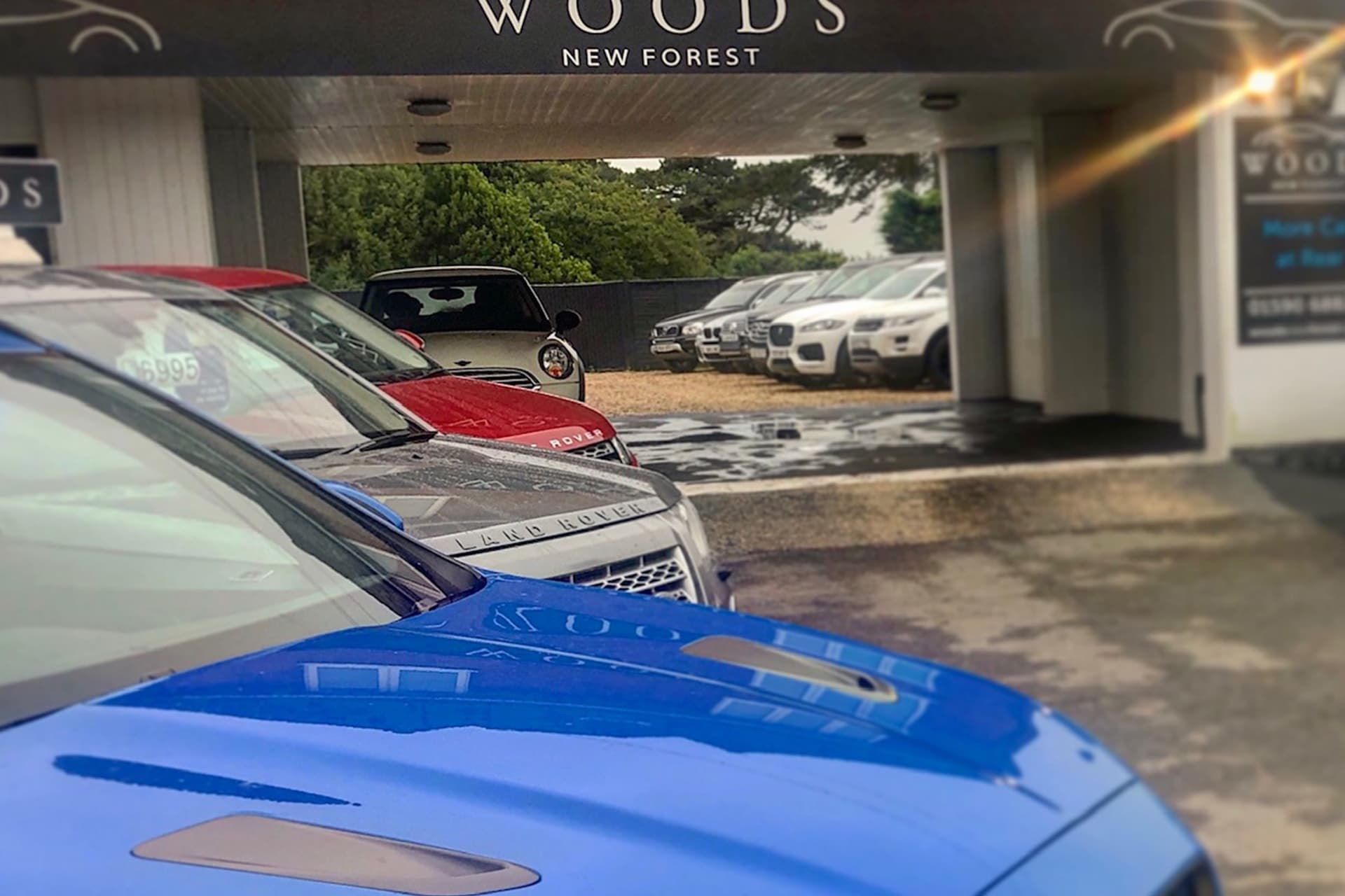 Woods New Forest Ltd Hero Or Body 6 (1) - Woods New Forest Ltd