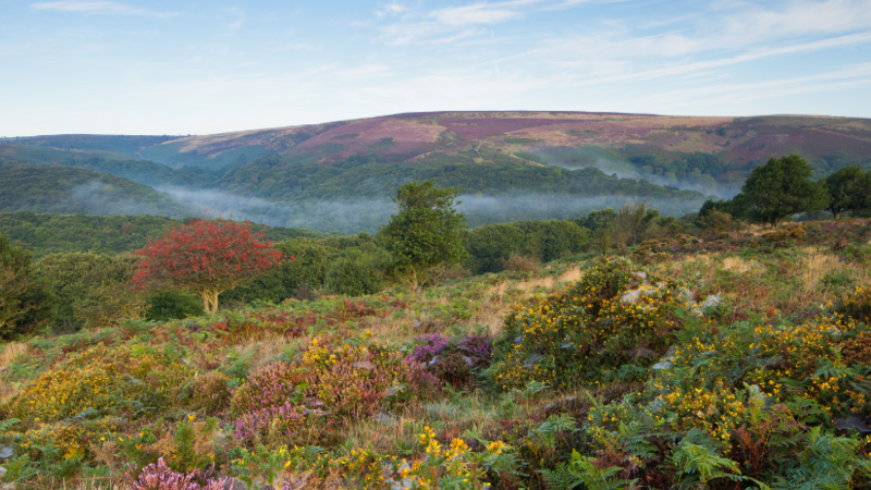 Top Autumn Destinations for You and Your Caravan